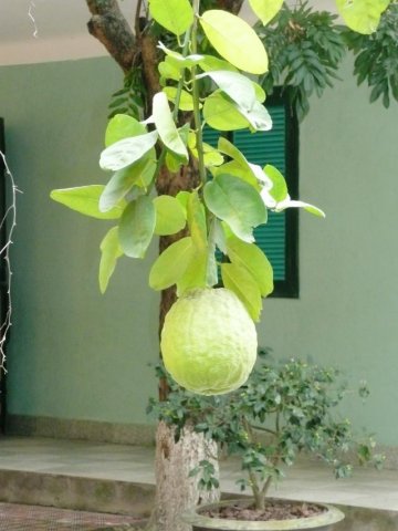 Urlaub in Vietnam 2007